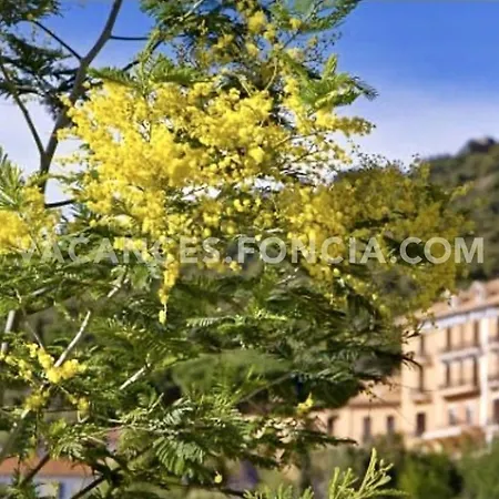 Climatise Au Calme - 4 Pers. - Fr-1-251-940 * Bormes-les-Mimosas